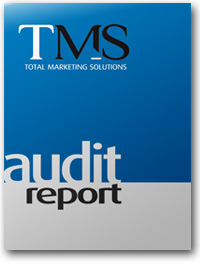 marketing strategy audit report - Total Marketing Solutions